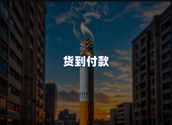 专业团队办公环境